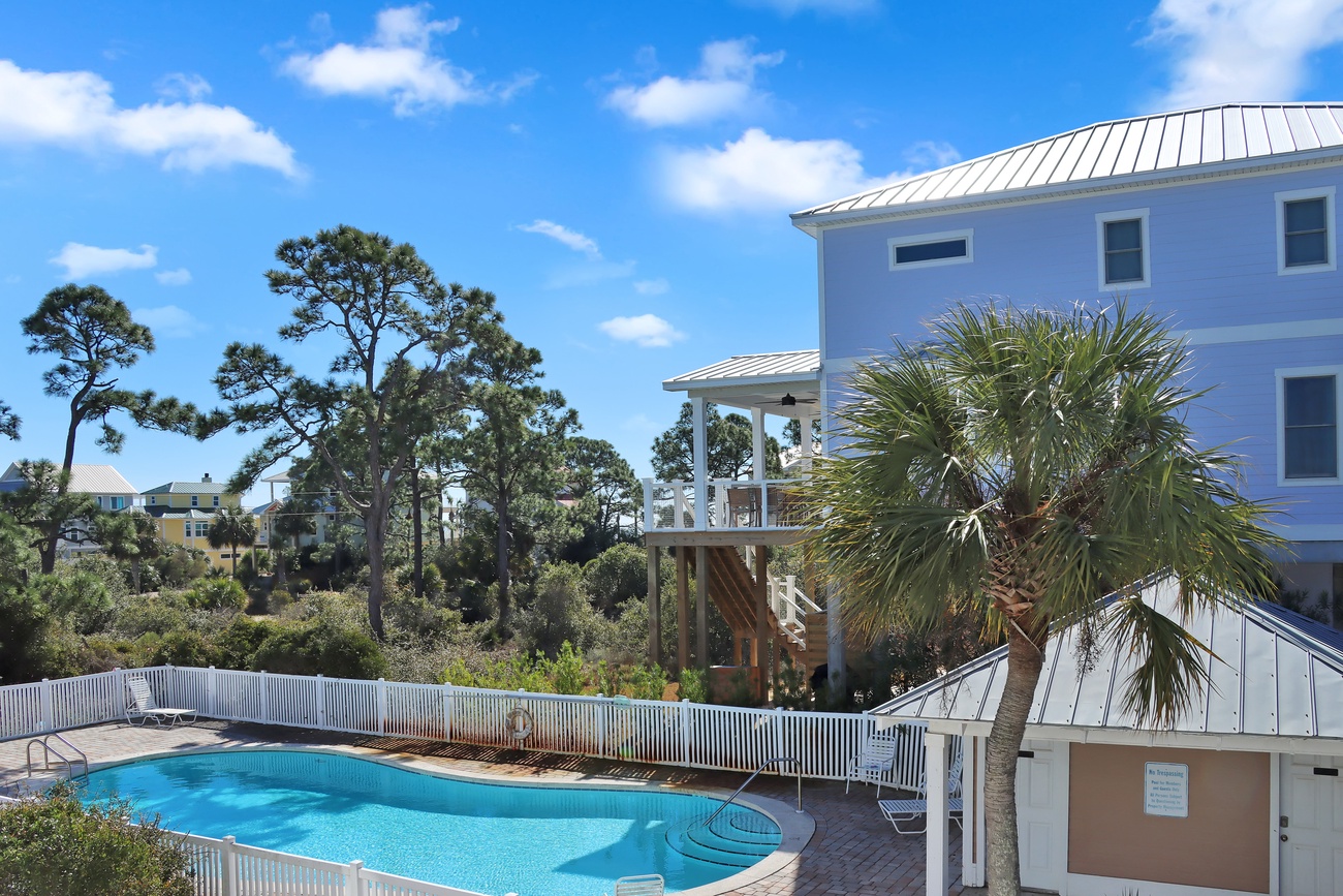 Oystercatcher Visit Florida Beaches