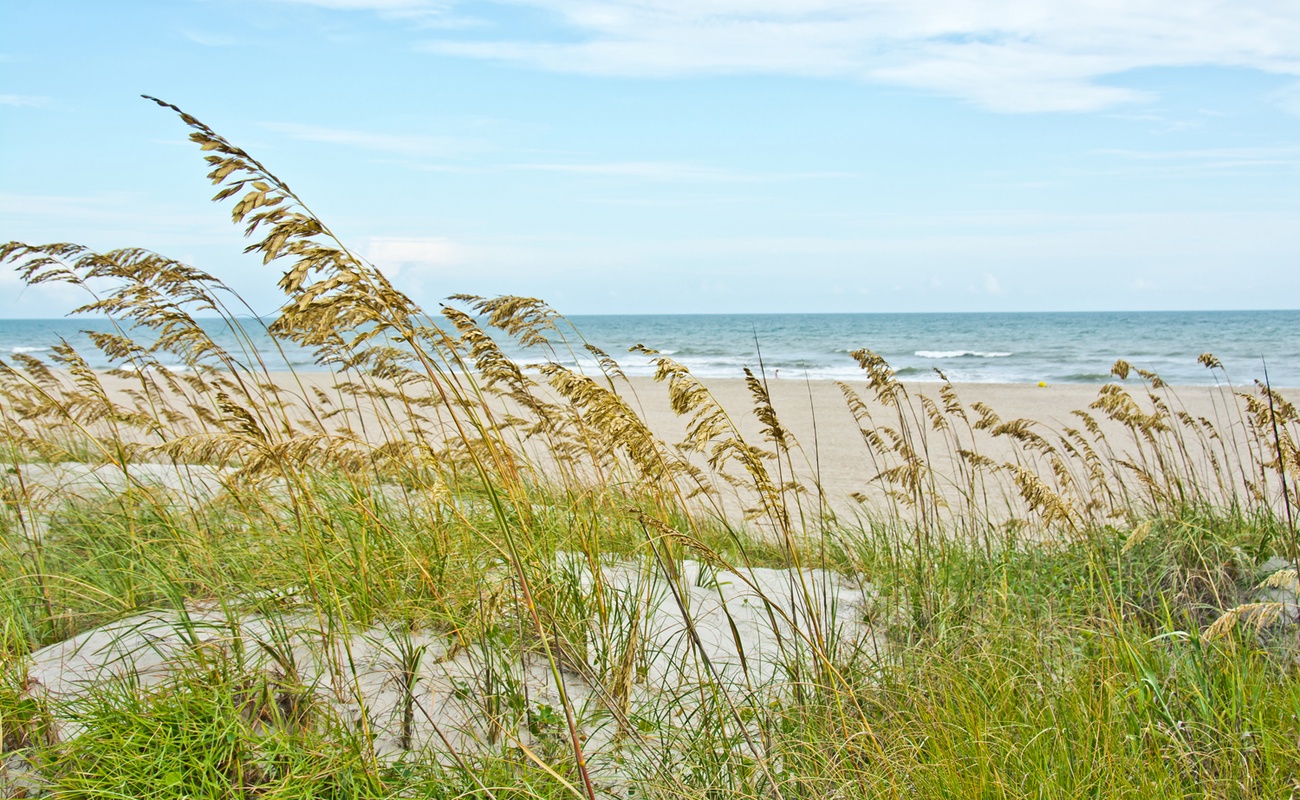 Oceanfront Beach View