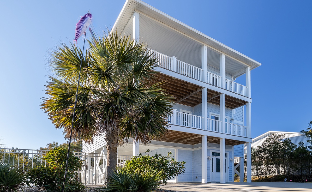 Carolina Rose | Photo 1