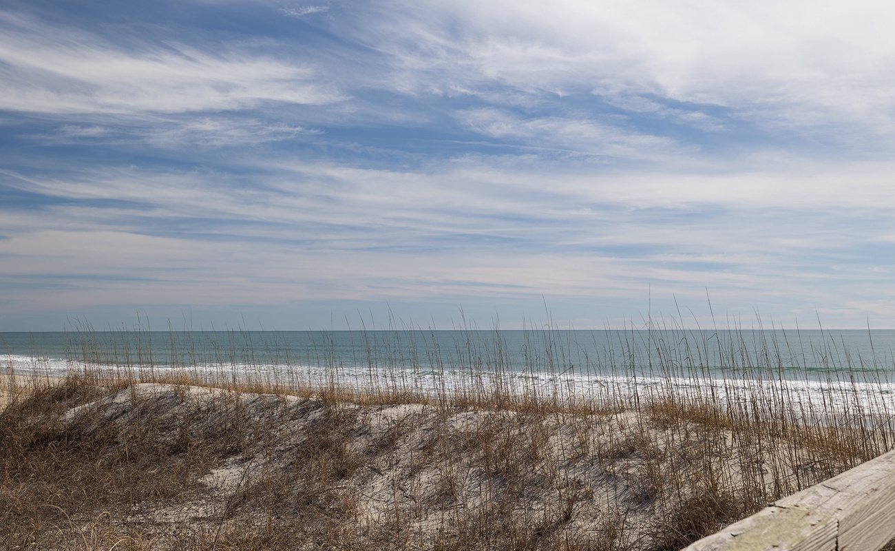 Sassy Seagull East | Photo 2