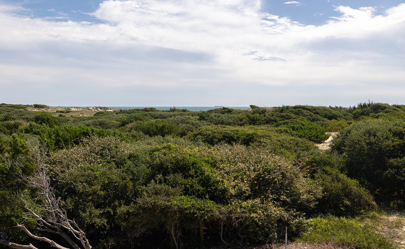 Tar Landing Villas 306 | Dune View toward the Ocean