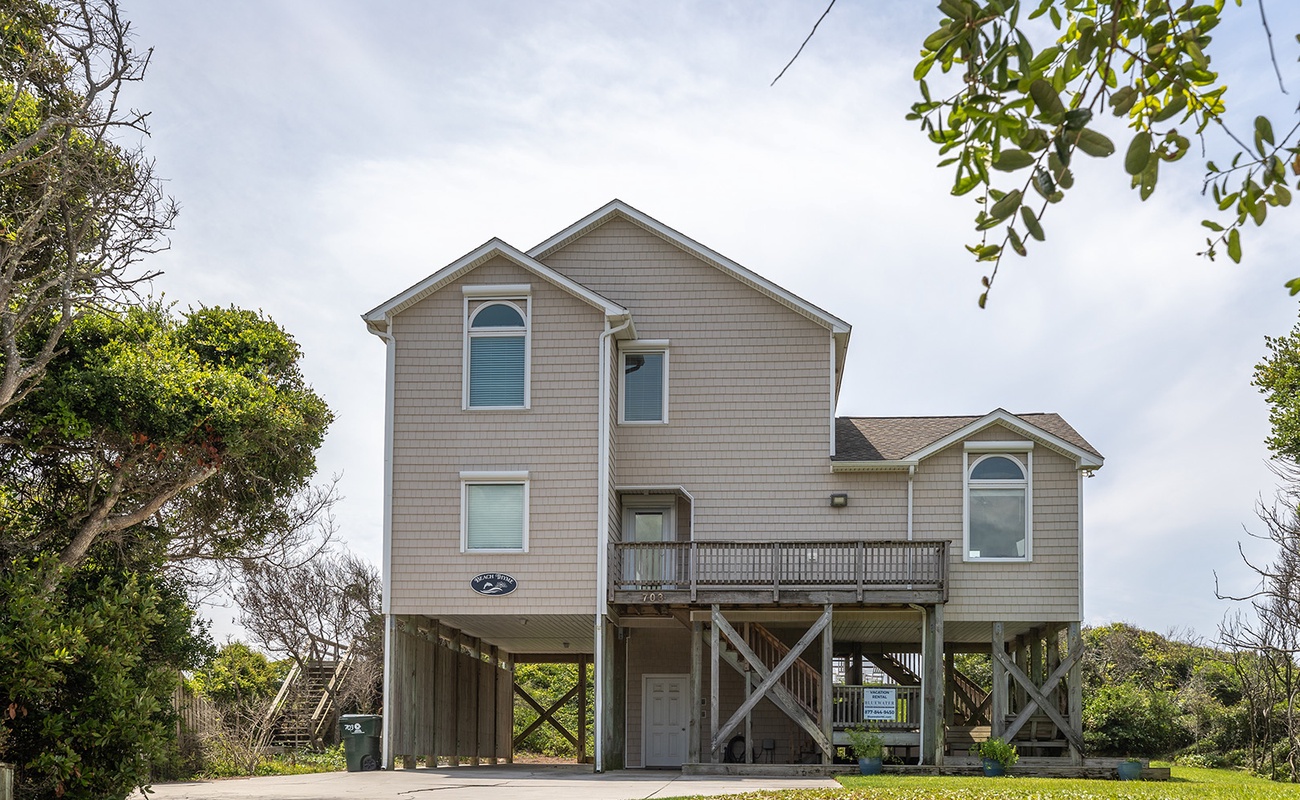 Beach Thyme | Photo 2