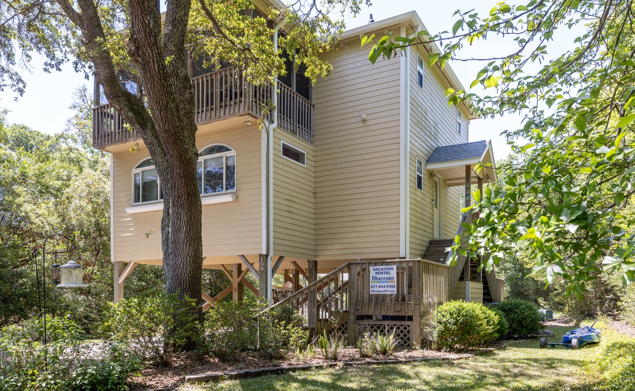 Sandy Paws | Photo 1