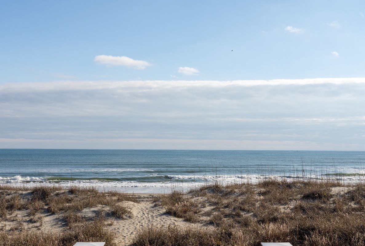 Sea No Evil | Photo 2