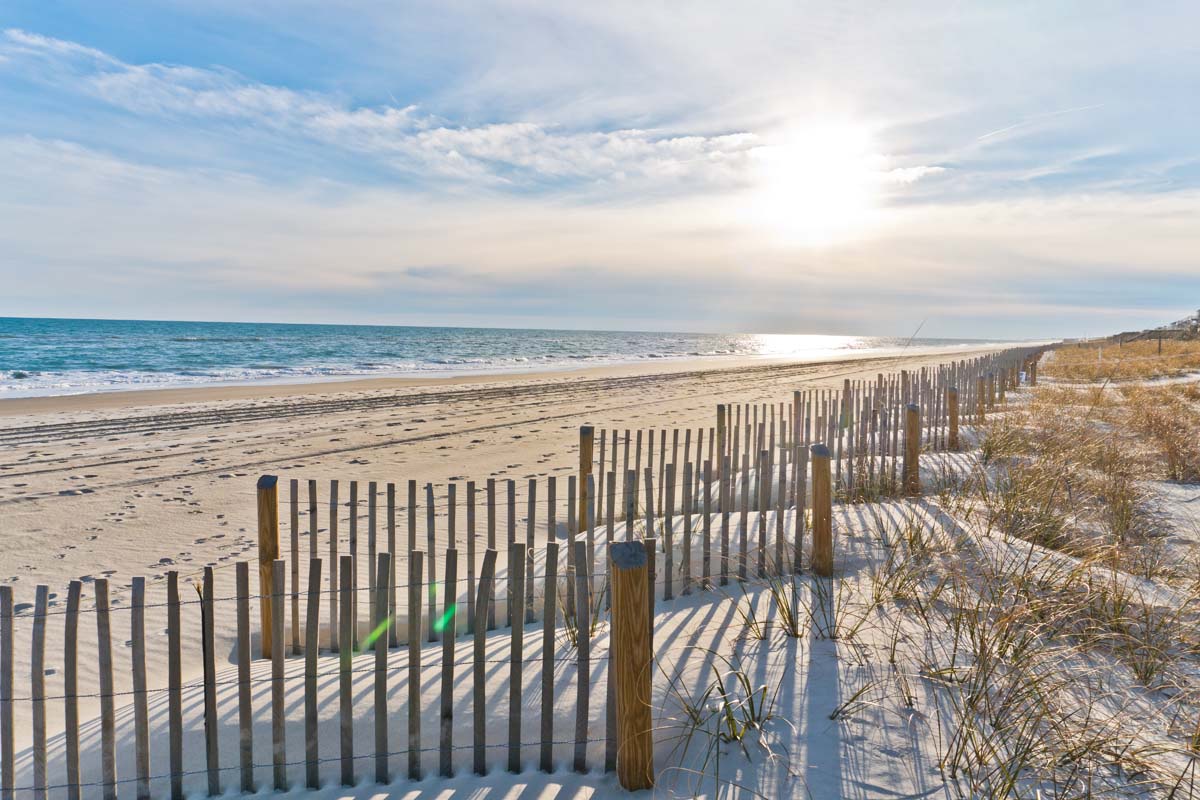 Mimosa Manor | Photo 1