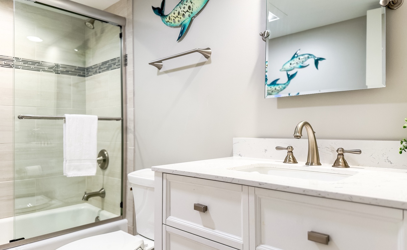 Downstairs Guest Bathroom