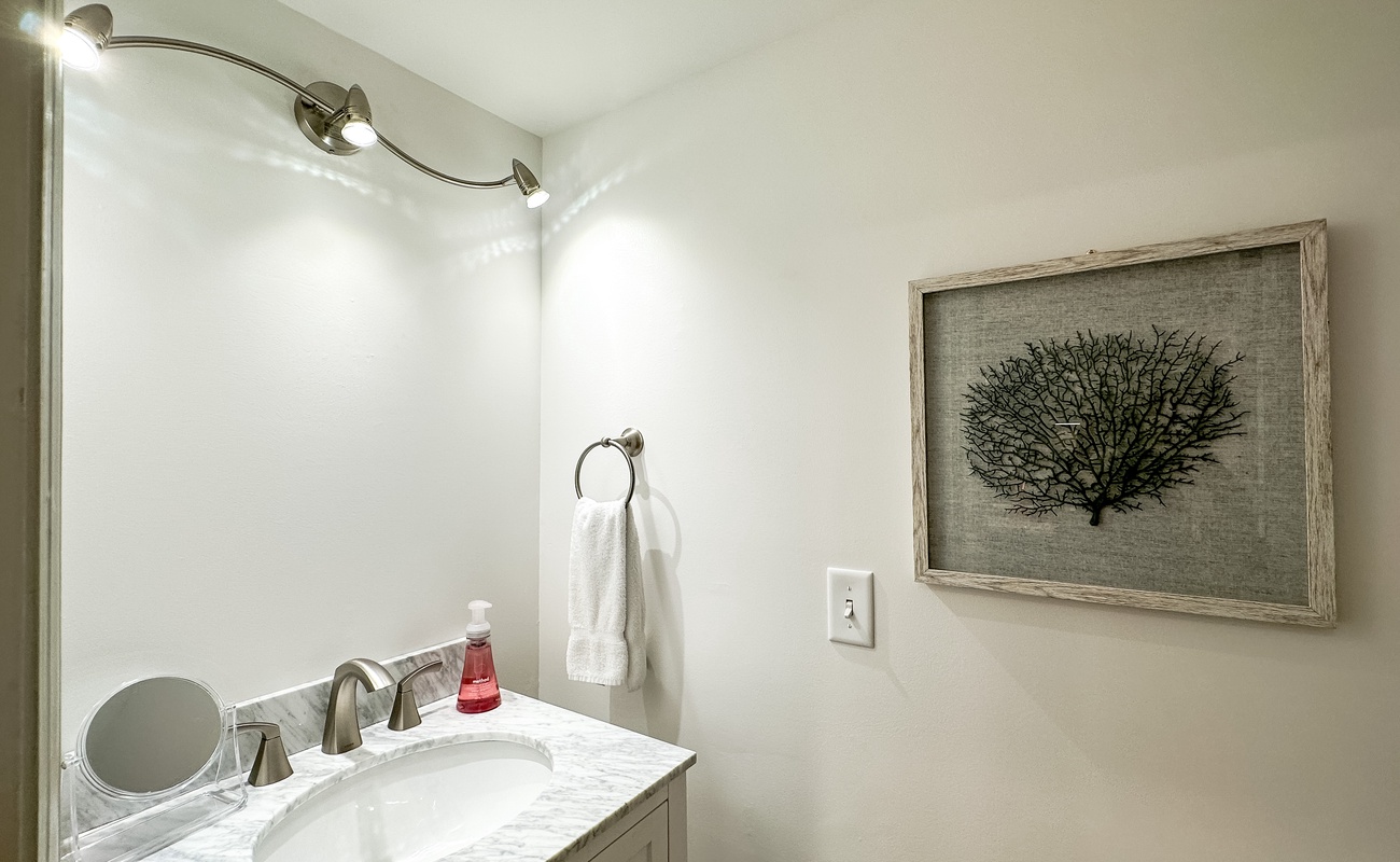 Guest Bathroom for Living Area