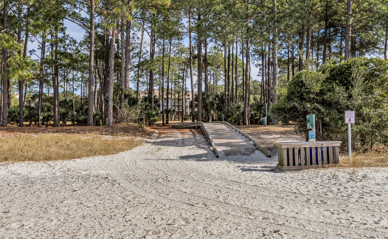 Sandy beach area with wooden boardwalk leading through towering pine trees to nearby accommodations.