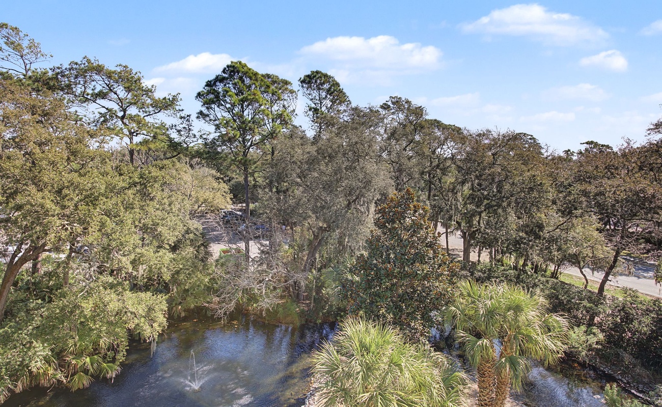 Scenic natural landscape with mature trees, palm vegetation, and peaceful water feature creating a tranquil neighborhood setting.
