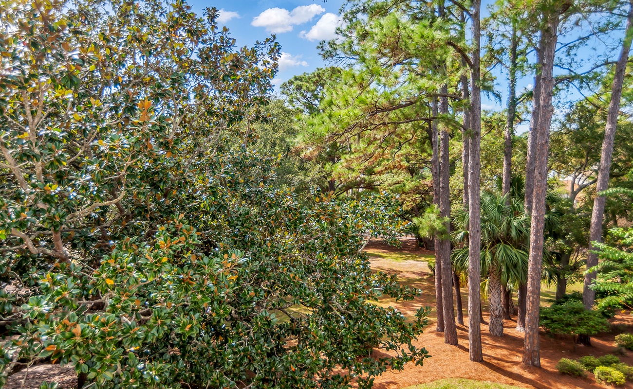 Private View from Balcony