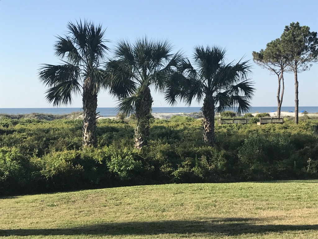 Views from 51 Ocean Club