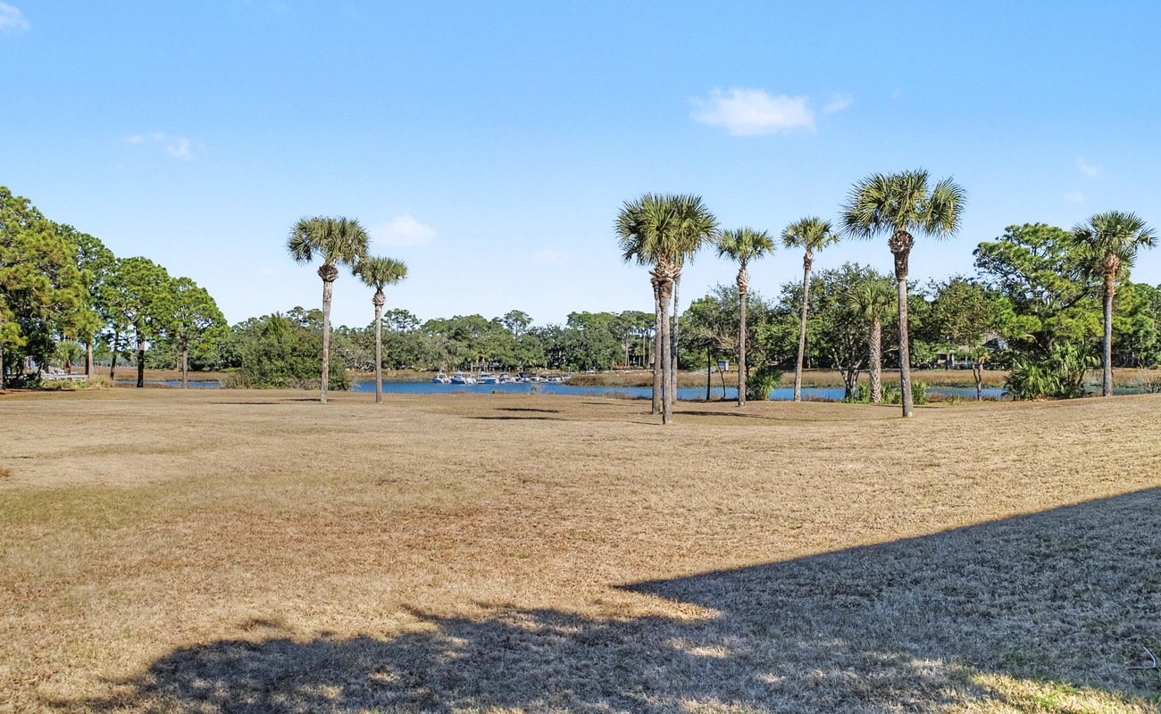 Scenic lakefront setting with swaying palms and open recreational space perfect for outdoor activities.