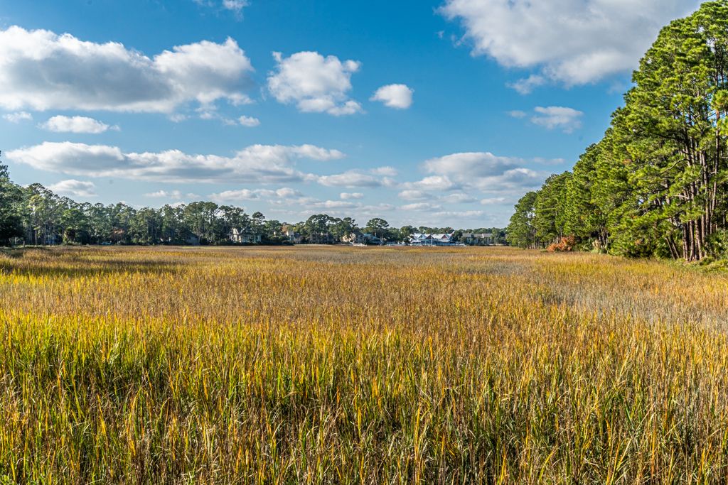 Marsh View in Sea Pines