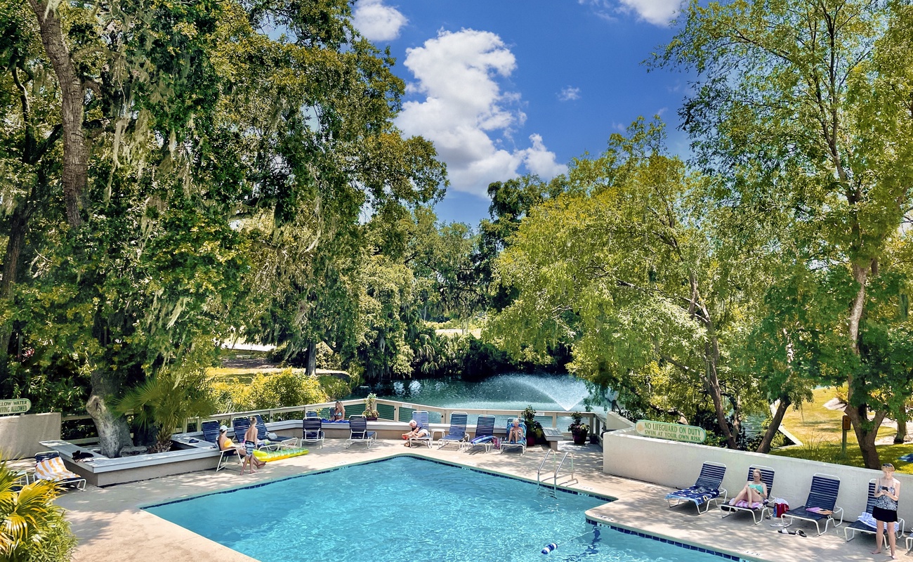 Swimming pool surrounded by lush tropical trees and natural lagoon, creating a serene resort-style atmosphere.