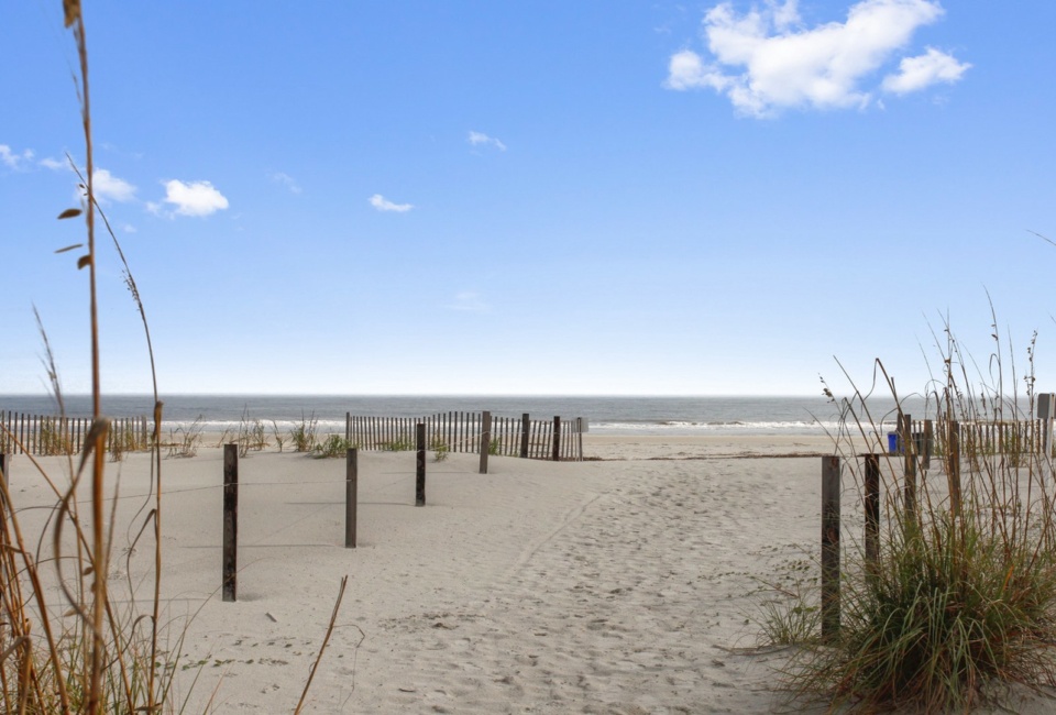 Beach in Front of Windsor Place