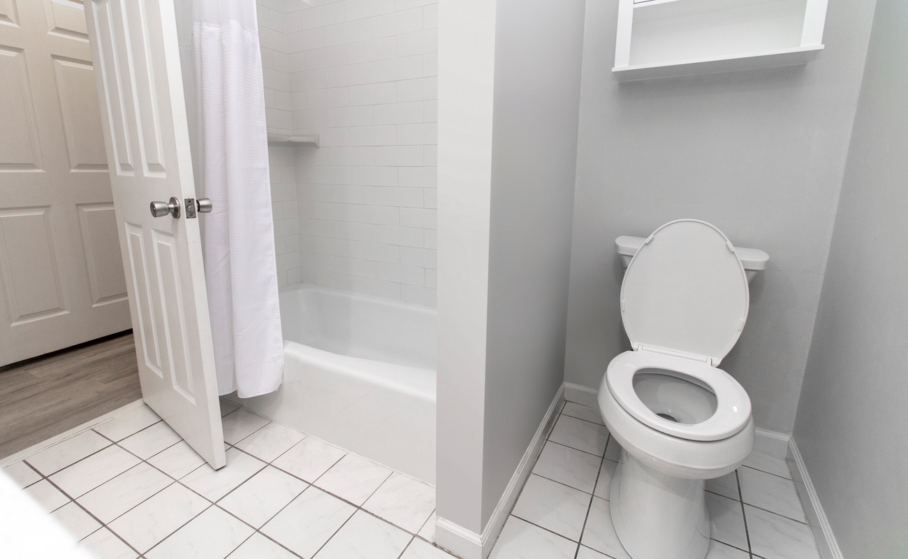 Guest Bathroom in Hallway