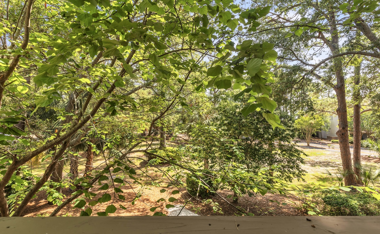 Private View from Villa