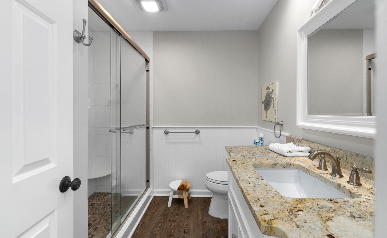 Hall Bath for Downstairs Queen