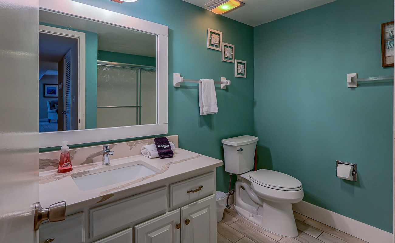 Guest Bathroom in Hall