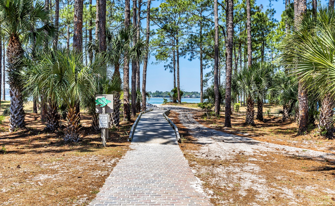 A scenic boardwalk winds through towering pines and palms, leading toward tranquil waterfront views in this naturally beautiful coastal setting.