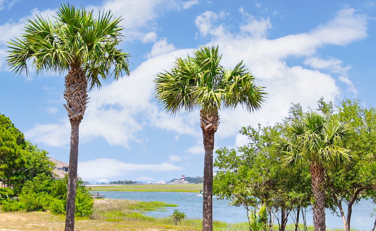 View from Private Patio (Harbour Town Lighthouse in Distance)