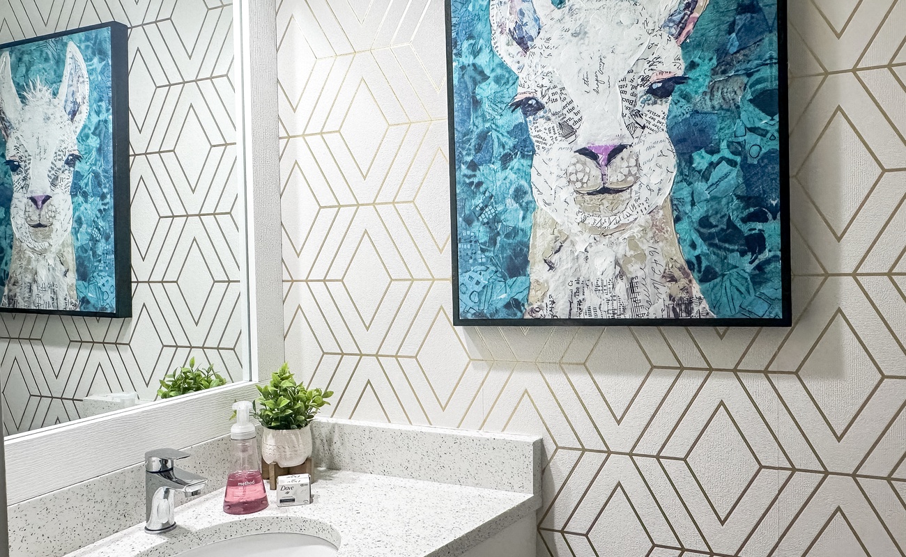 Downstairs Half Bath