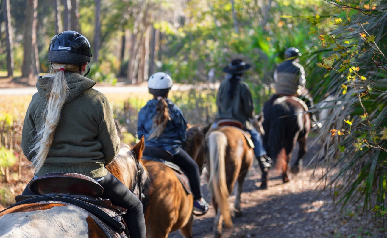 Lawton Stables (Trail rides and petting zoo!)