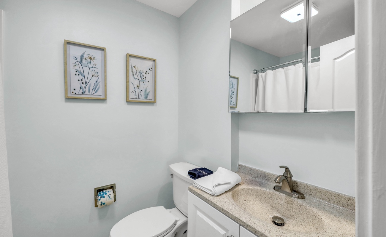 Guest Suite Bathroom