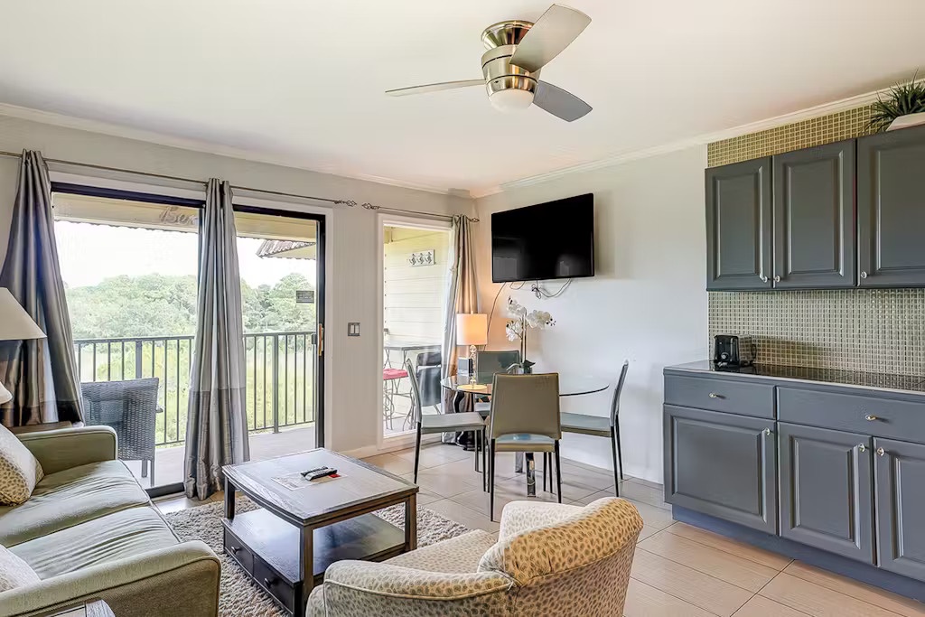 Living and Dining Area