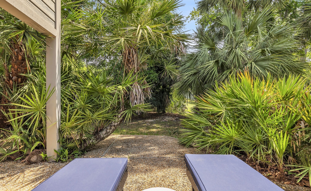 Palm Tree Haven