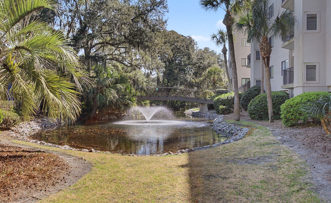 Serene water feature with fountain creates a peaceful focal point amid tropical landscaping and modern architecture.