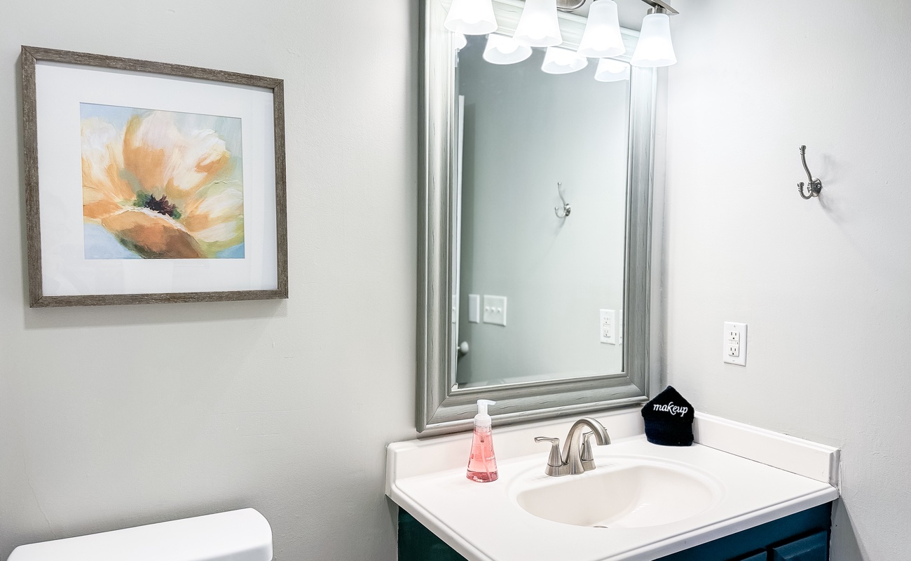 Guest Double Full Suite Bathroom