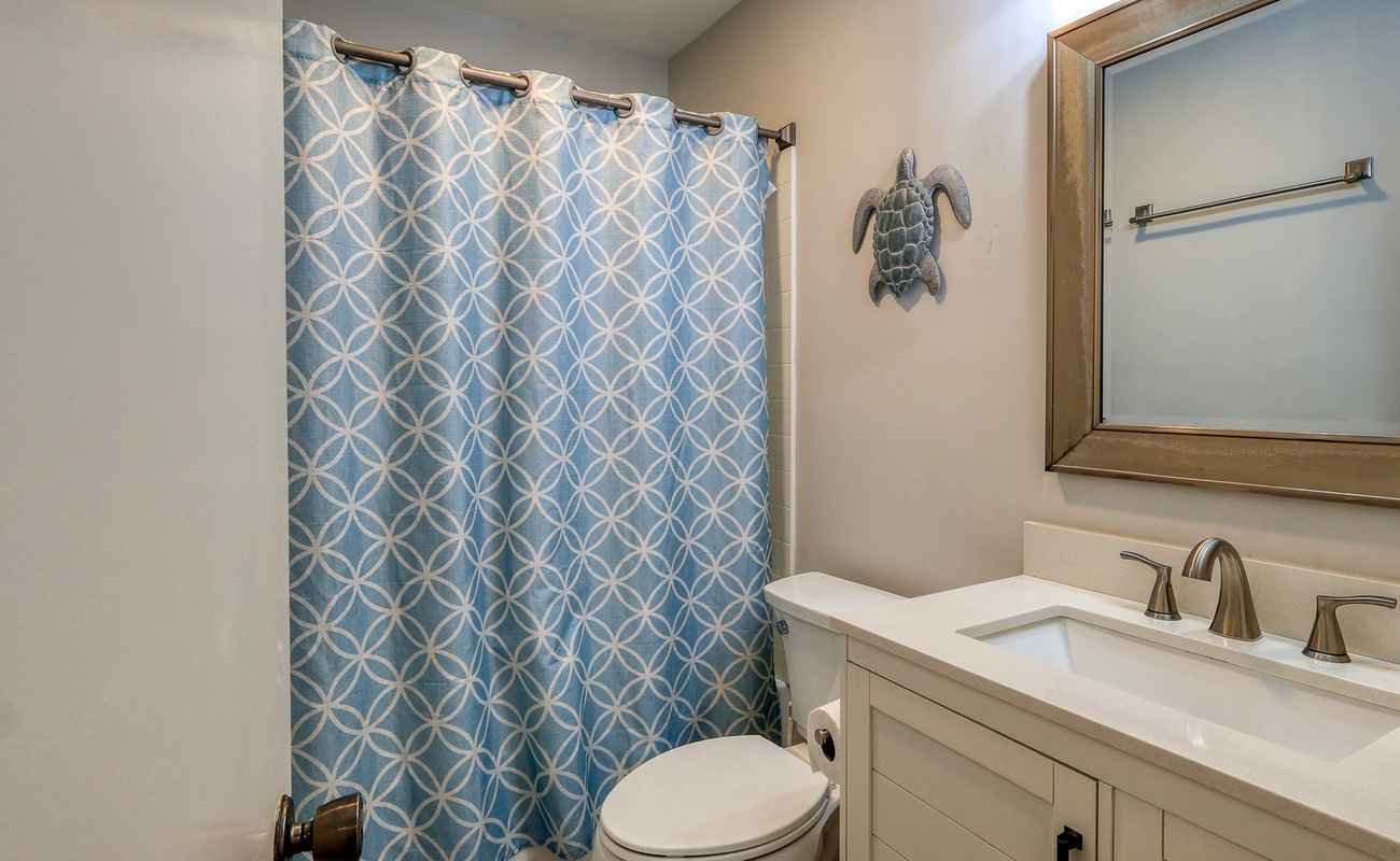 Downstairs Guest Bathroom