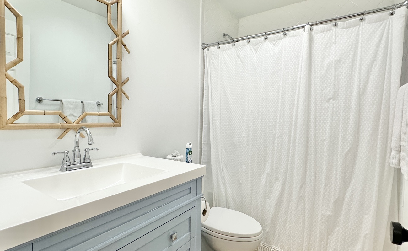 Guest Bathroom in Hall