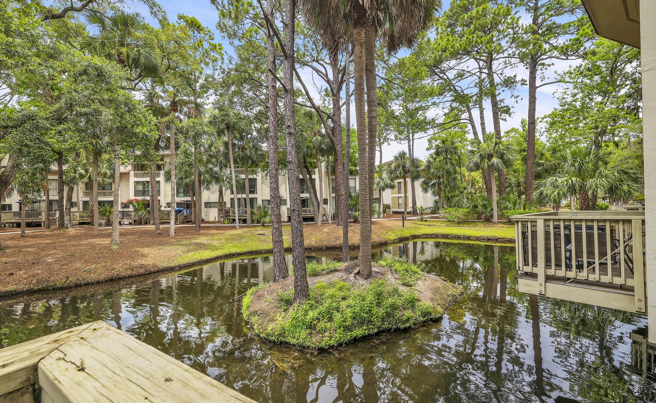 View from Private Patio