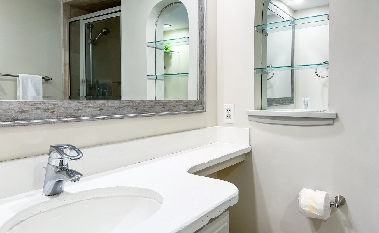 Primary Suite Bathroom