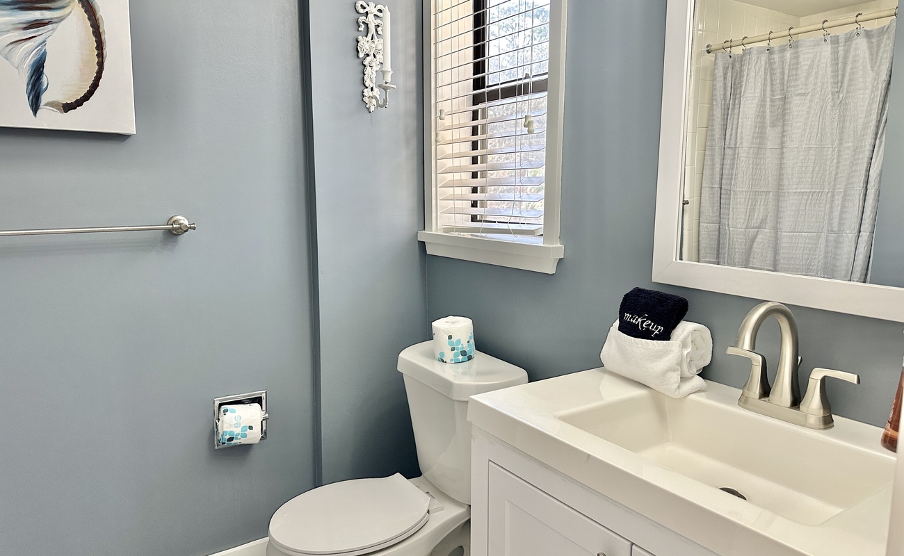 Guest Bathroom with Laundry