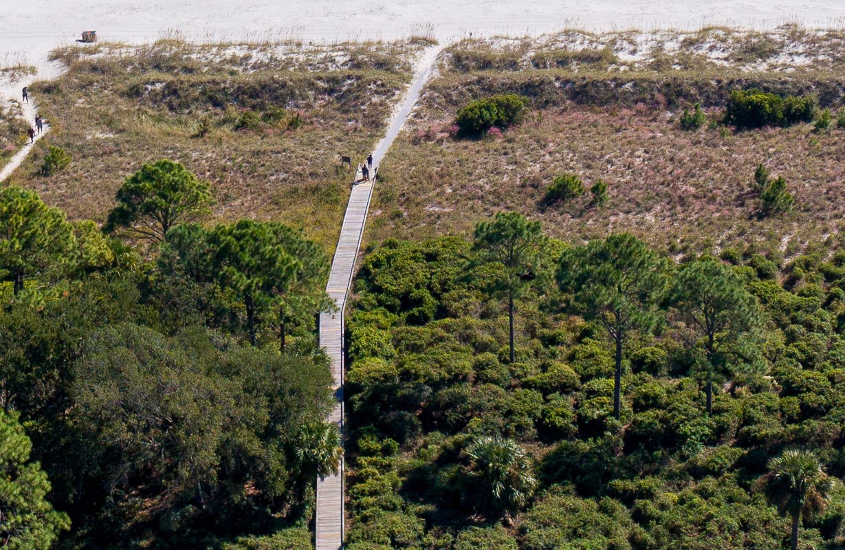 Aerial View of Beach Path