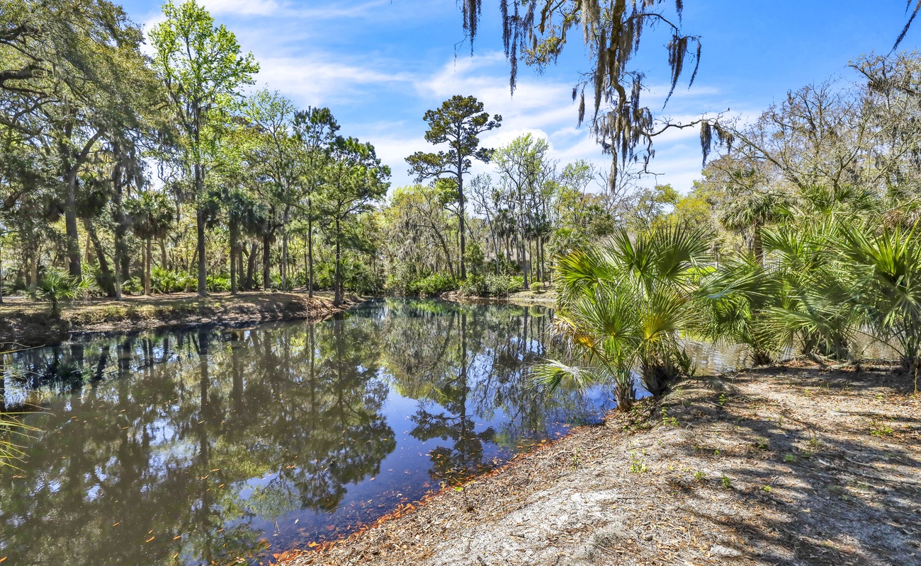 Lagoon Views from Patio