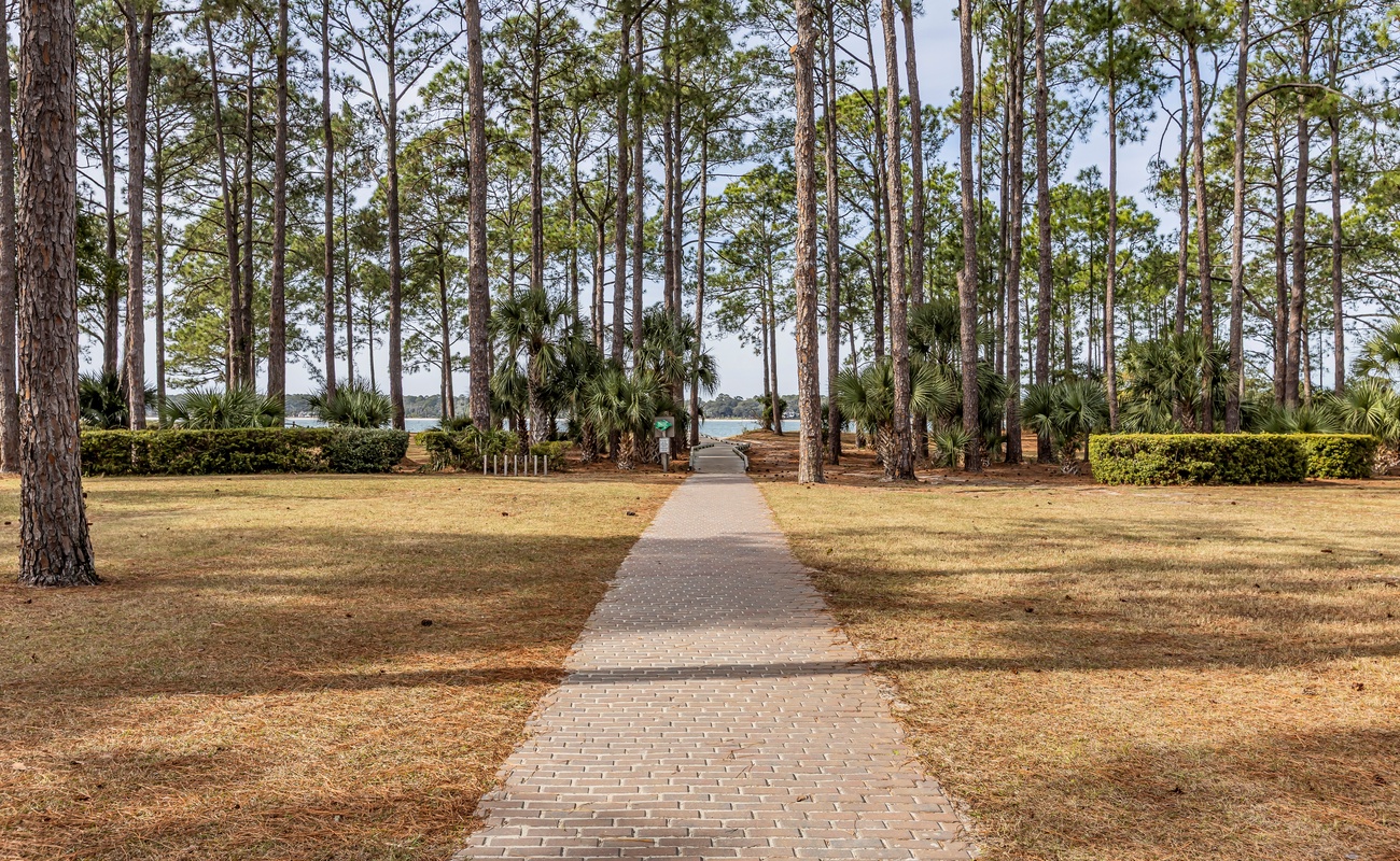 A peaceful brick pathway leads through towering pines and palm trees toward the waterfront, creating a serene natural corridor.