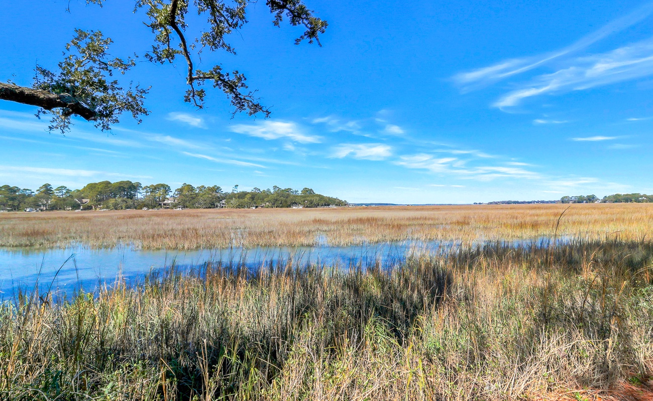 Peaceful wetland marshes stretch under brilliant blue skies, offering tranquil natural scenery near the property.
