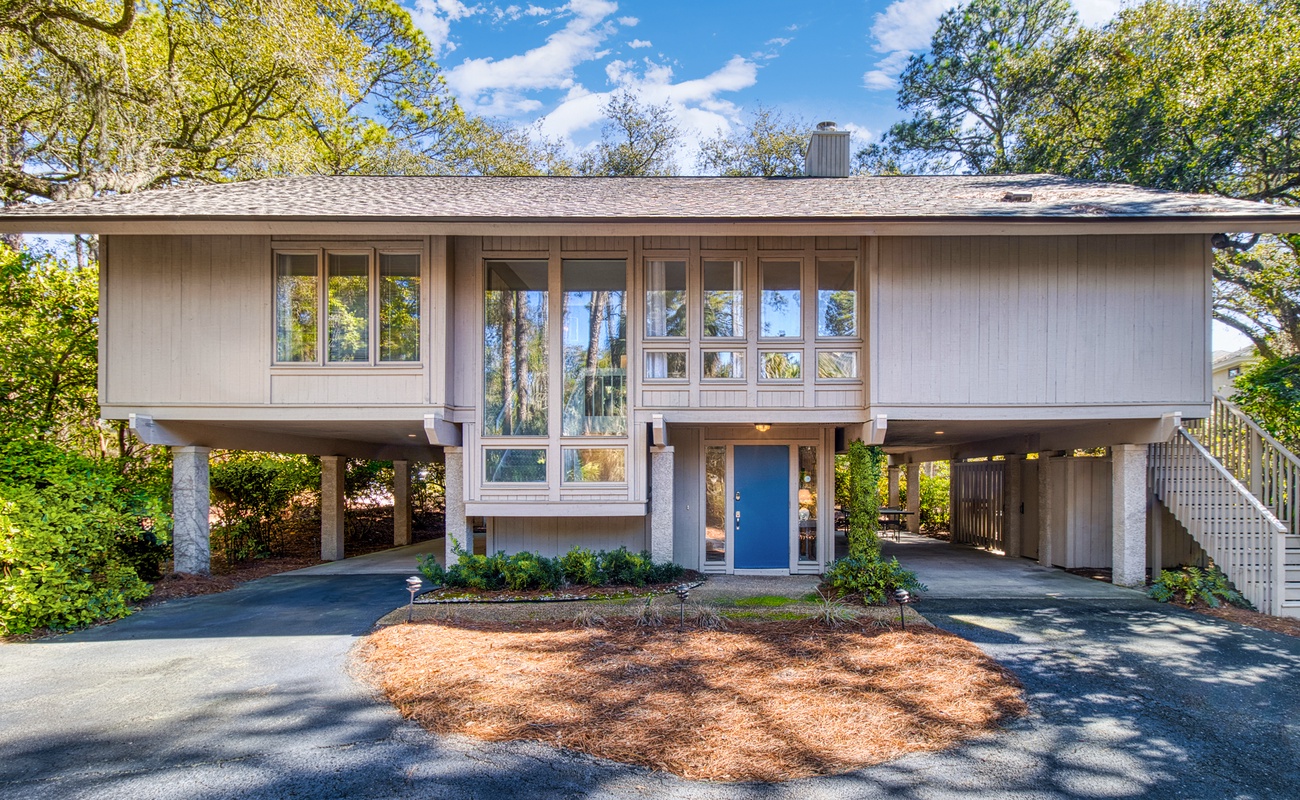 10 Piping Plover Photo
