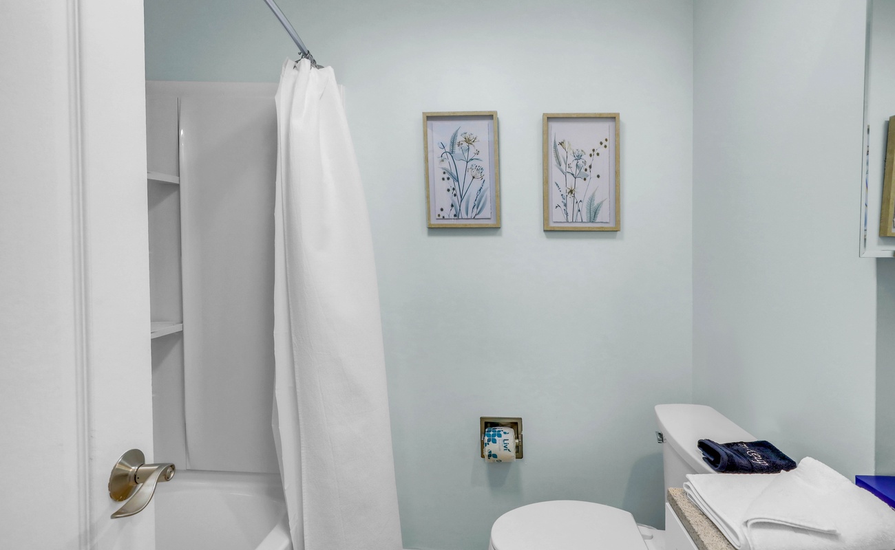 Guest Suite Bathroom