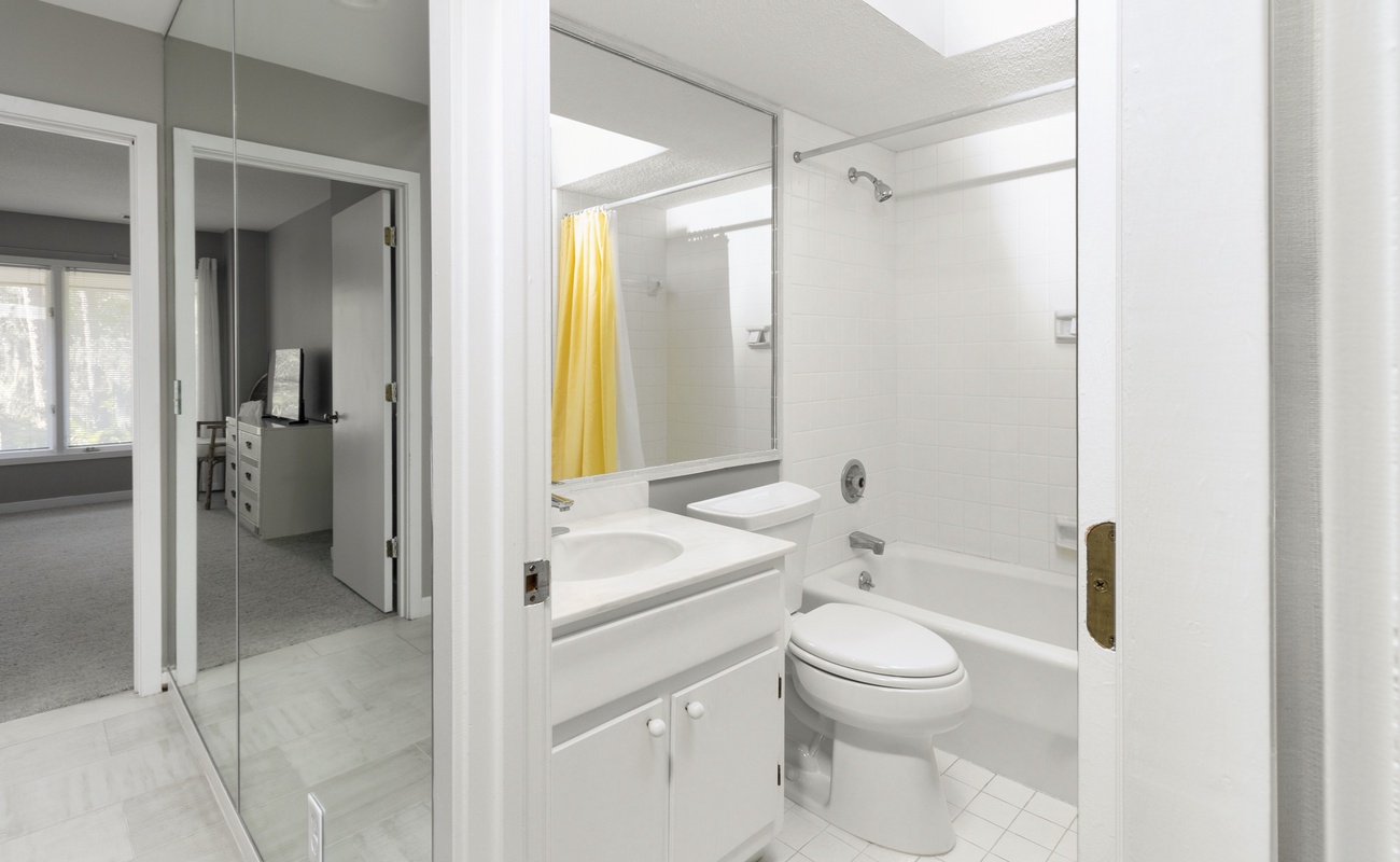 Guest Bathroom (Attached to main space and twin bedroom)