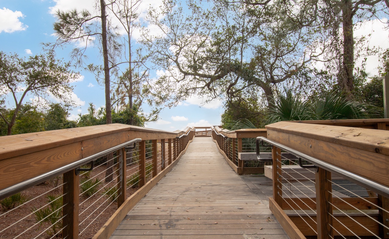 Folly Field Beach Park