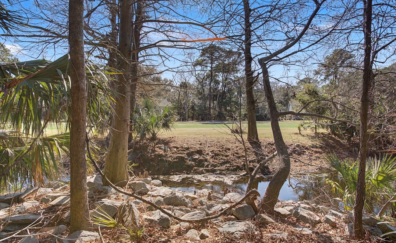 Natural landscape features tropical palms and open grasses with a peaceful water element meandering through the terrain.