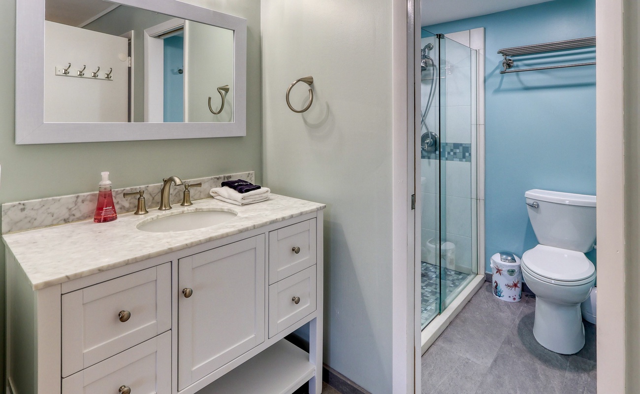 Primary Suite Vanity and Bathroom