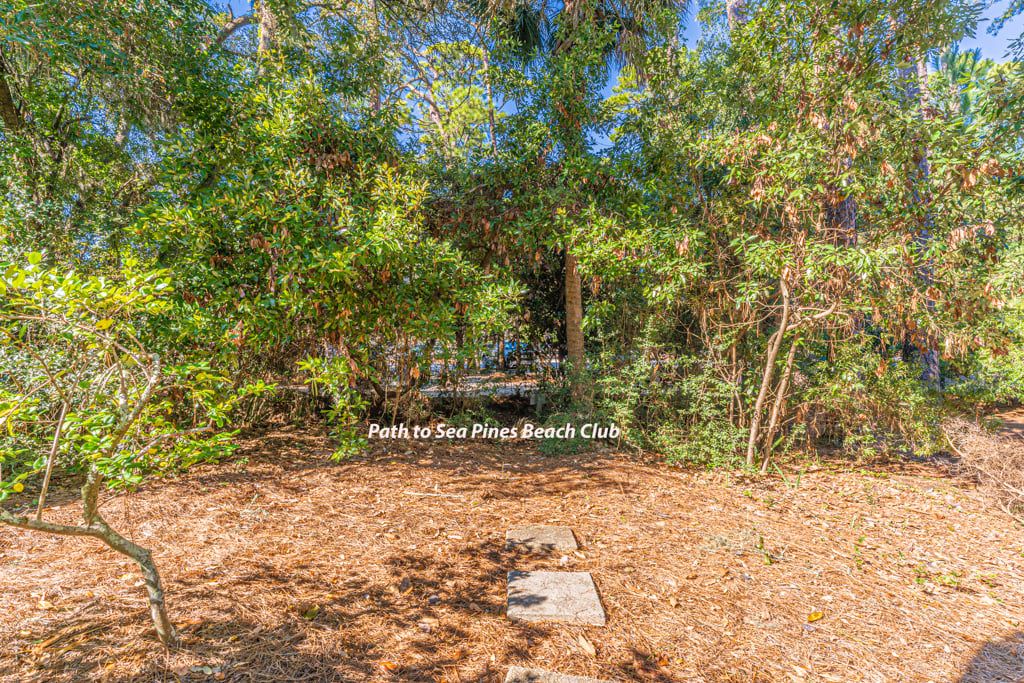 Path to the Sea Pines Beach Club