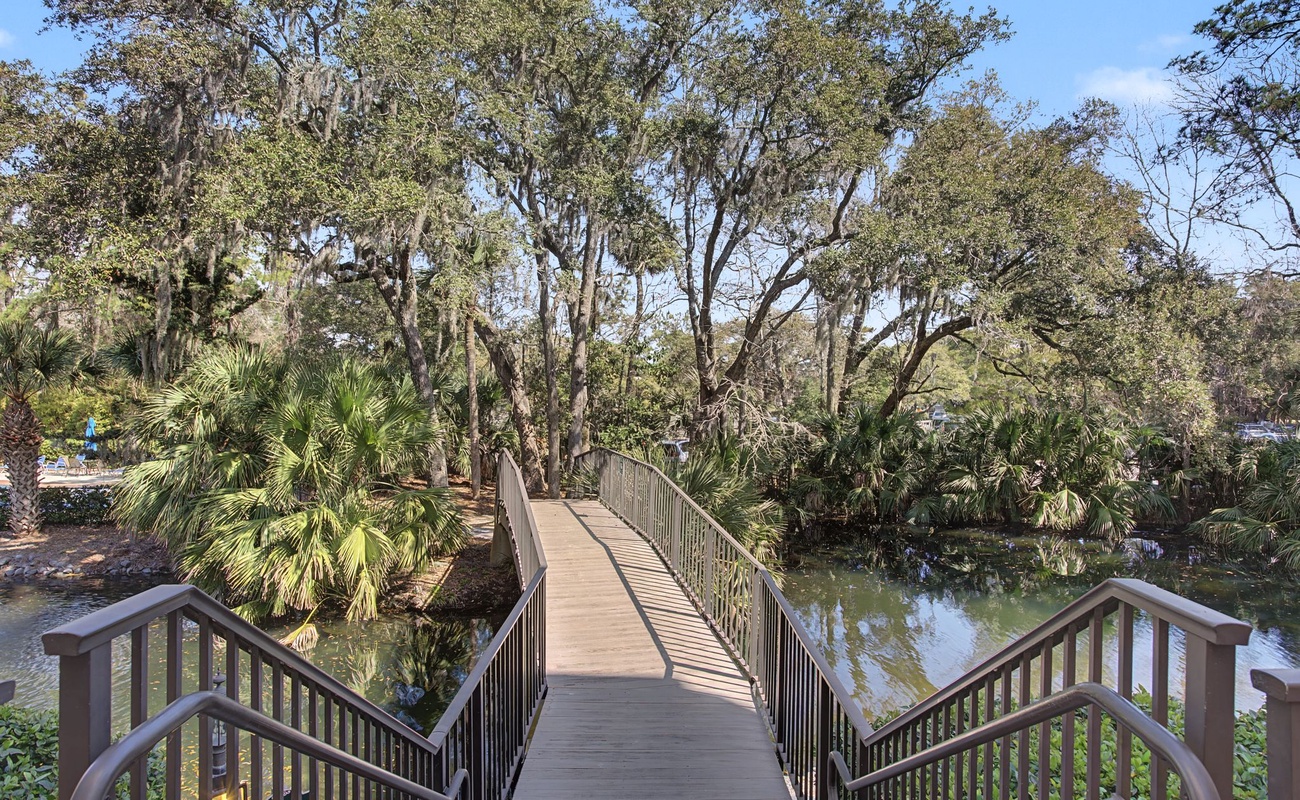 Wooden boardwalk bridge spans tranquil waters, surrounded by lush palms and native trees creating a peaceful natural setting.