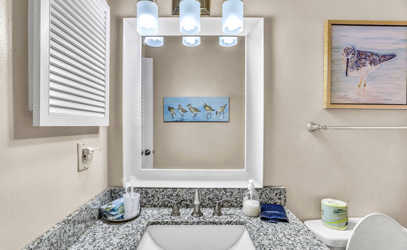 Guest Bathroom